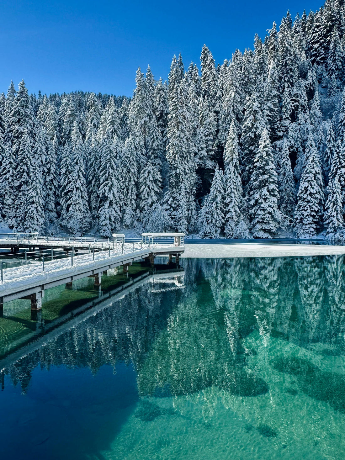 Courchevel & Méribel